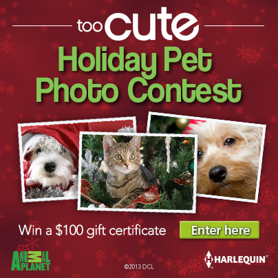 too cute contest