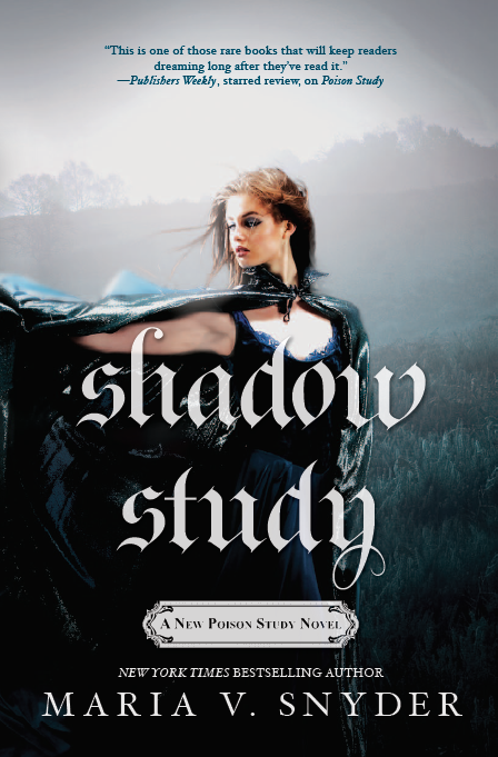 shadow study_new
