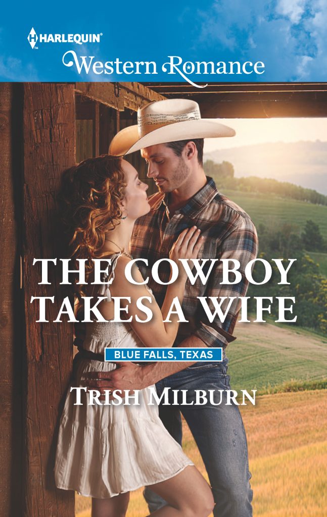 the-cowboy-takes-a-wife