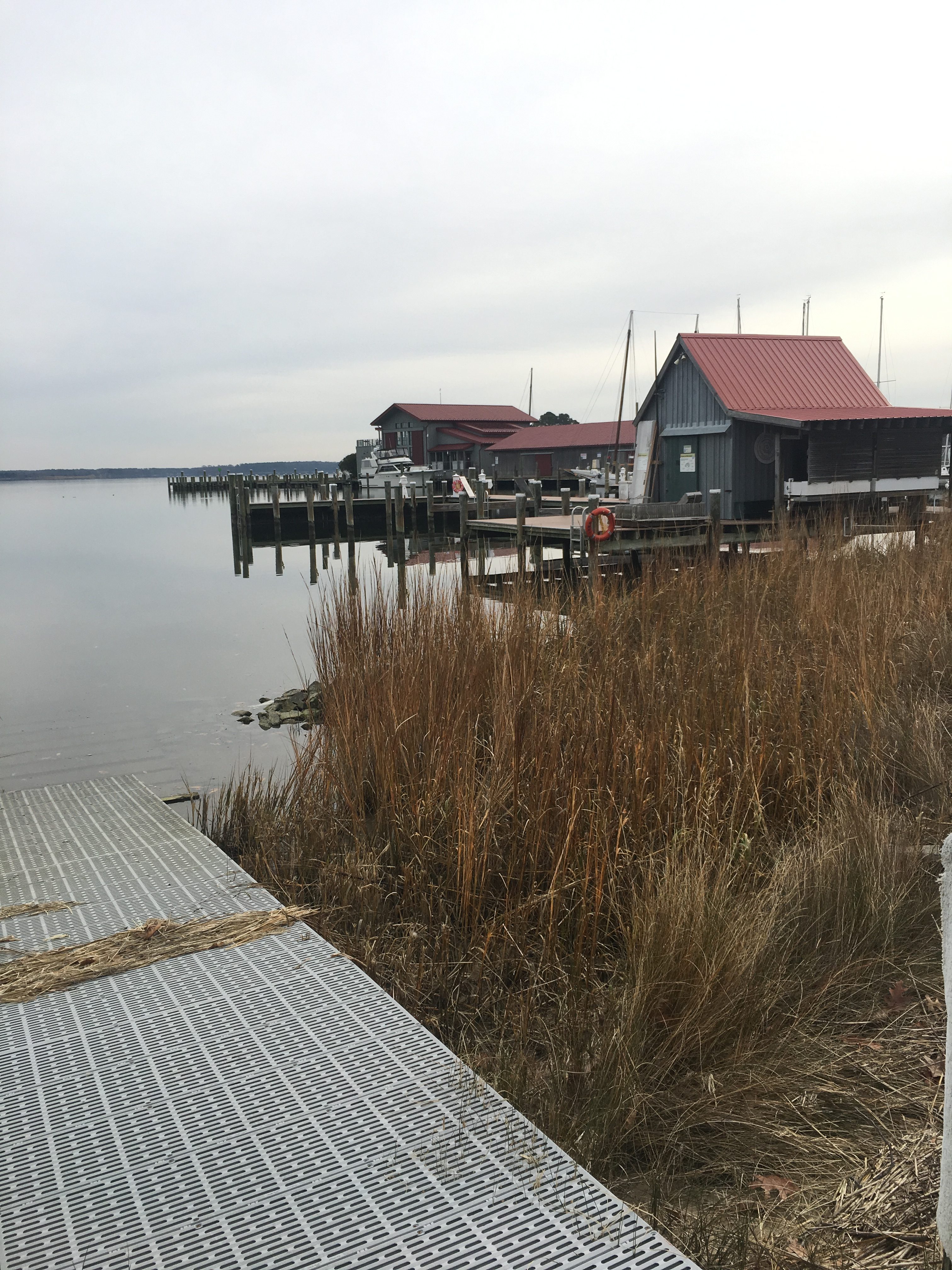 Eastern Shore of the Chesapeake Bay