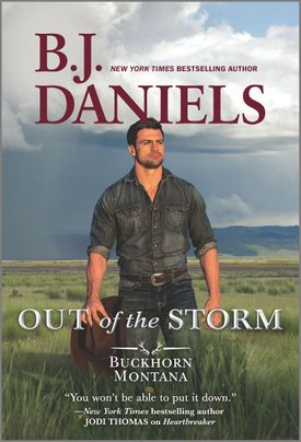 Out of the Storm by B.J. Daniels