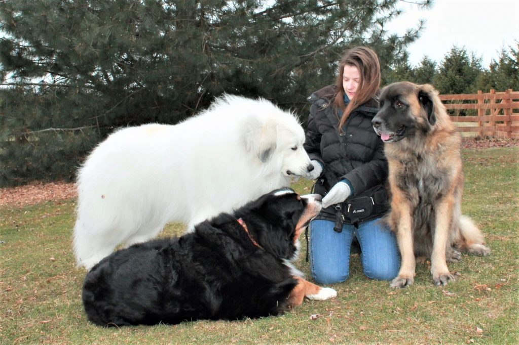 Jerusha Agen and her dogs