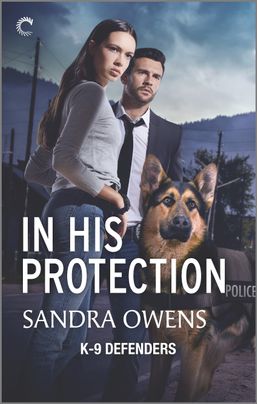 In His Protection by Sandra Owens