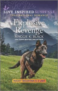 Explosive Revenge by Maggie K. Black