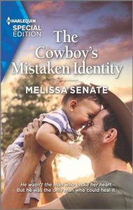 The Cowboy's Mistaken Identity by Melissa Senate