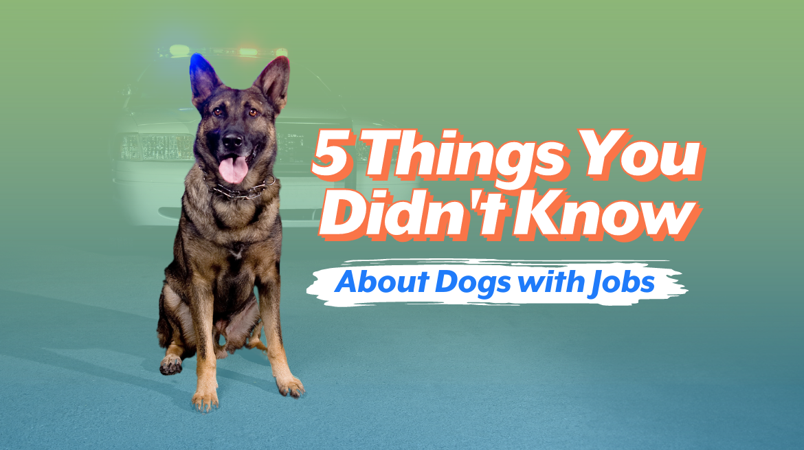 5 Things You Didn't Know About