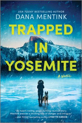 Cover image for Trapped in Yosemite by Dana Mentink, featuring a figure in a large winter coat with a dog next to them. They are standing on a large sheet of ice. There is a mountain range in the background and it is dark and snowing.